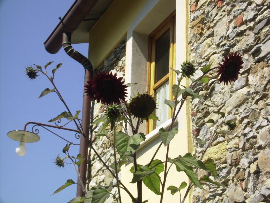 Bed and Breakfast Il Girasole Fosdinovo Exteriér fotografie